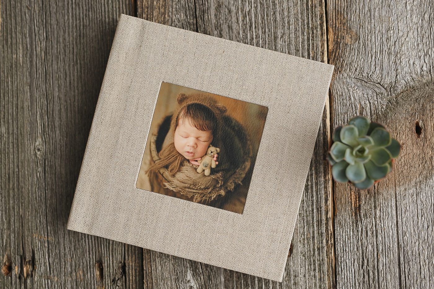 Produse Foto camelia burduja